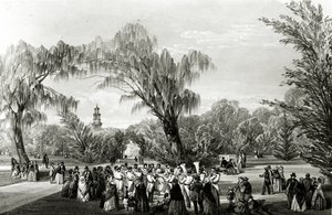Giardini Botanici, Città del Capo, stampa di W. Simpson, c.1850 da Thomas William Bowler